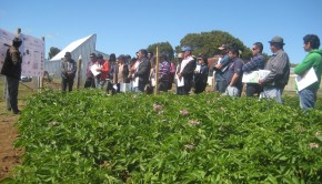 Asistentes-a-día-de-campo-en-Tranapuente