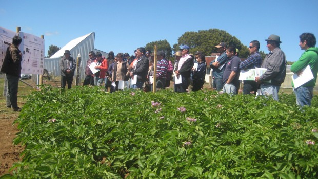 Asistentes-a-día-de-campo-en-Tranapuente
