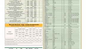 TRIGO E INTERNACIONALES