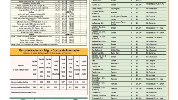 Trigo y precios internacionales