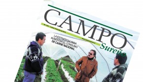 PORTADA Campo Sureño 13-06-2015