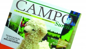 tapa Campo Sureño 20- 06-201501