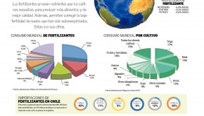 infografía