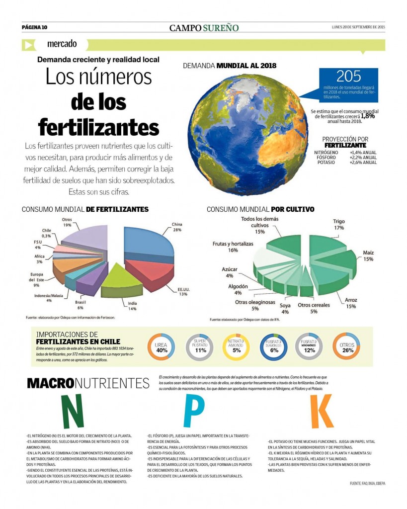 infografía