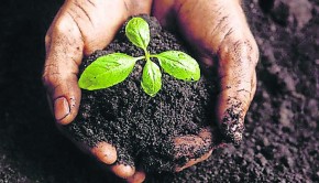 agroecologia (1)
