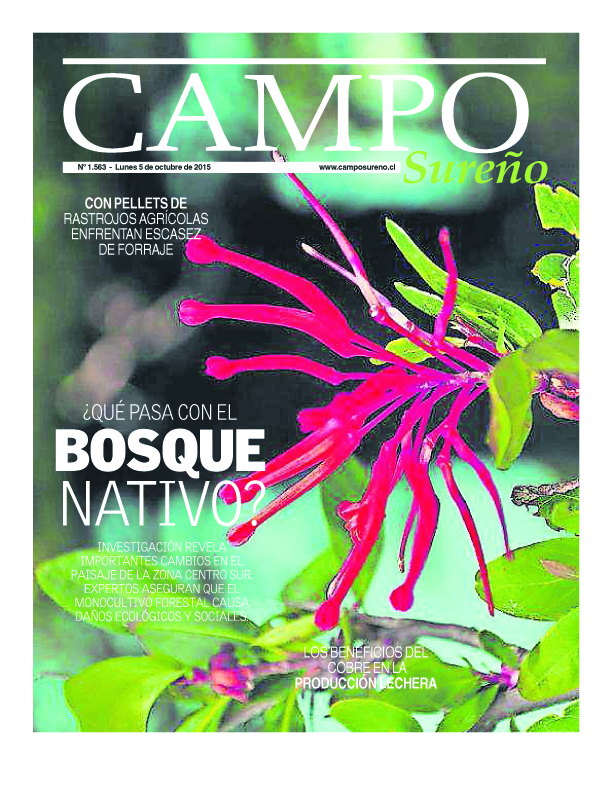 : Portada : 1