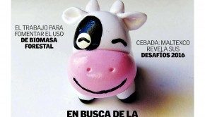 PORTADA VACAS