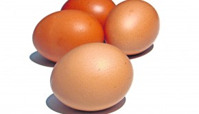 Huevos