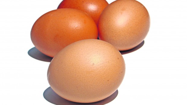 Huevos