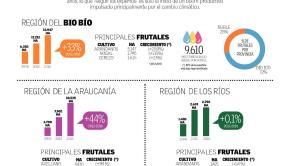 INFOGRAFIA