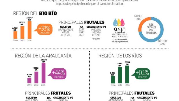 INFOGRAFIA