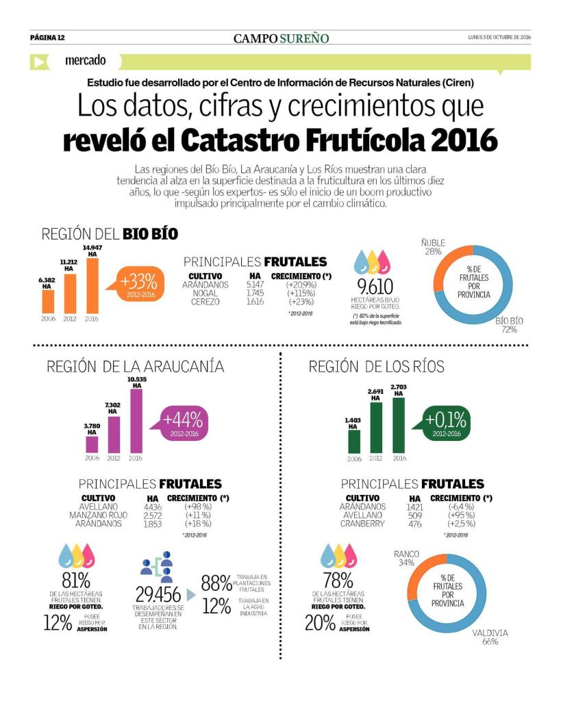 INFOGRAFIA