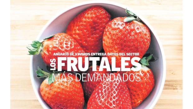 portada frutilla