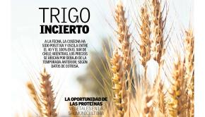 TRIGO PORTADA