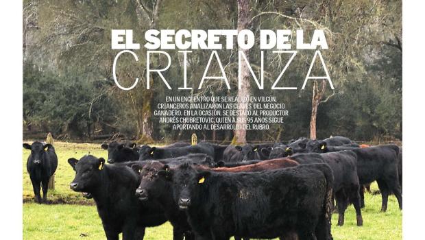 portada crianza