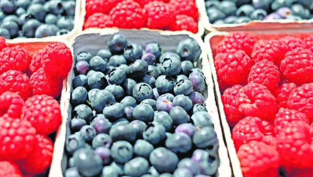 Imagen berries-1493905