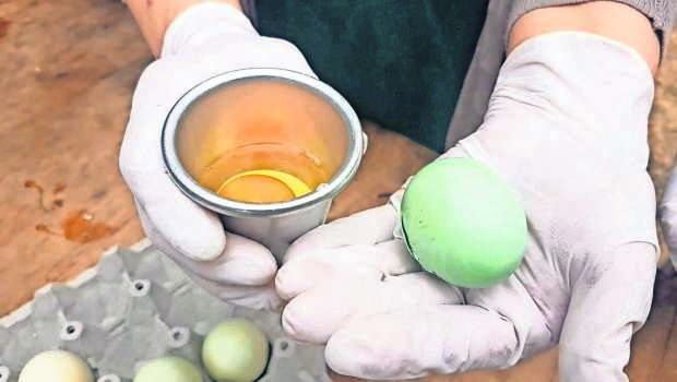 Imagen Imagen huevos