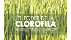 clorofila