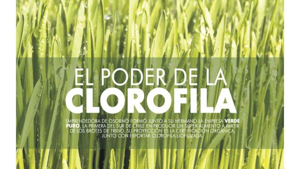 clorofila