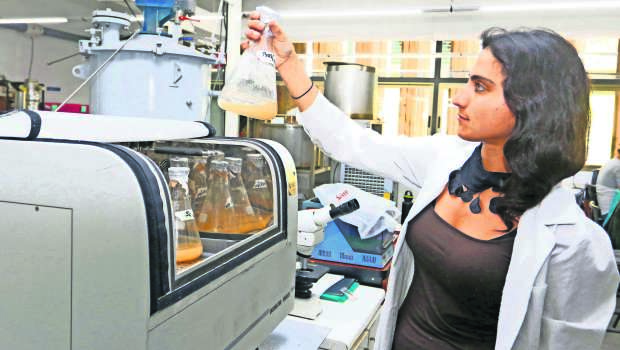 Levadura y Cerveza Elaborada en UCT Patagonian Yeast