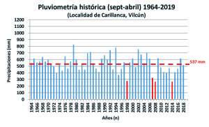 GRAFICO 1