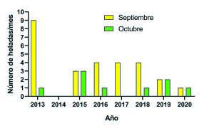 grafico 1