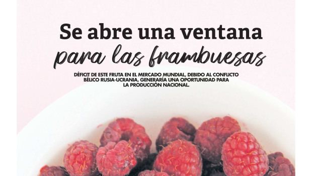 Campo Sureño 06-06-2022