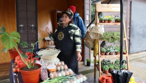 Mercados campesinos Paillaco 2