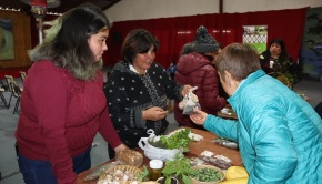 Trafkintu Comunidades Indígenas de Mariquina y ValdiviaMesa PDTI Máfil-1Portada